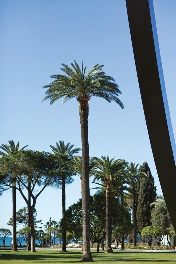 Ross 5- F2, Lumineux, Balcon, Loft, Clim, Vieux-Nice Exterior photo